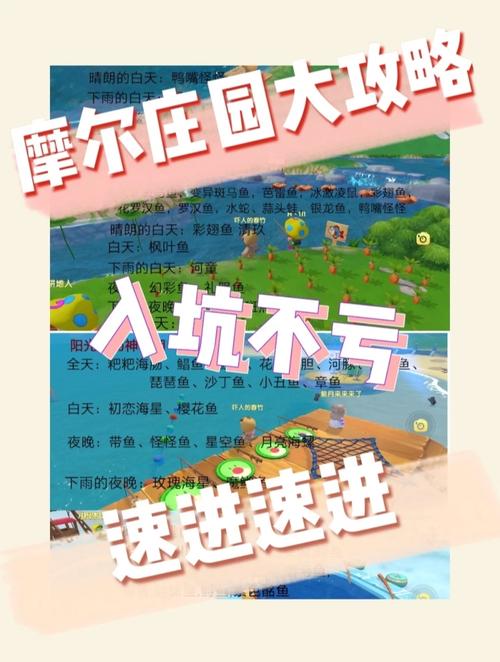 摩尔庄园小龙虾位置