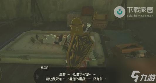 塞尔达传说王国之泪一去不返的旅店老板任务完成步骤