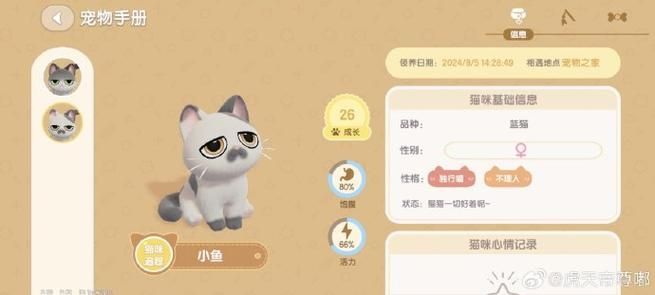 心动小镇养猫升级攻略 心动小镇怎么养猫