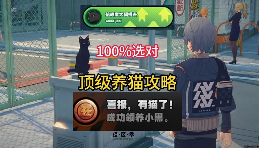 绝区零领养小猫攻略 绝区零怎么完成领养小猫任务