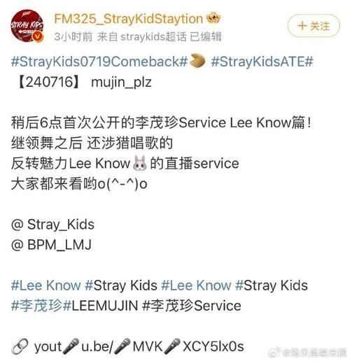 stray隐藏内容有哪些