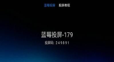 蓝莓投屏不收费tv版最新版v1.3.14