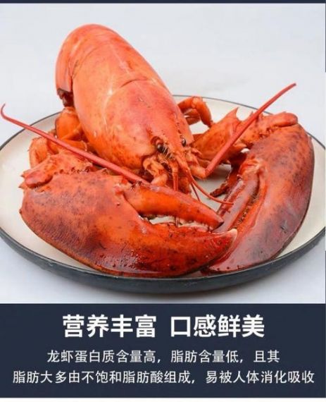 京东国际年货节多品类热销 波士顿龙虾与进口海参同比增长均超10倍