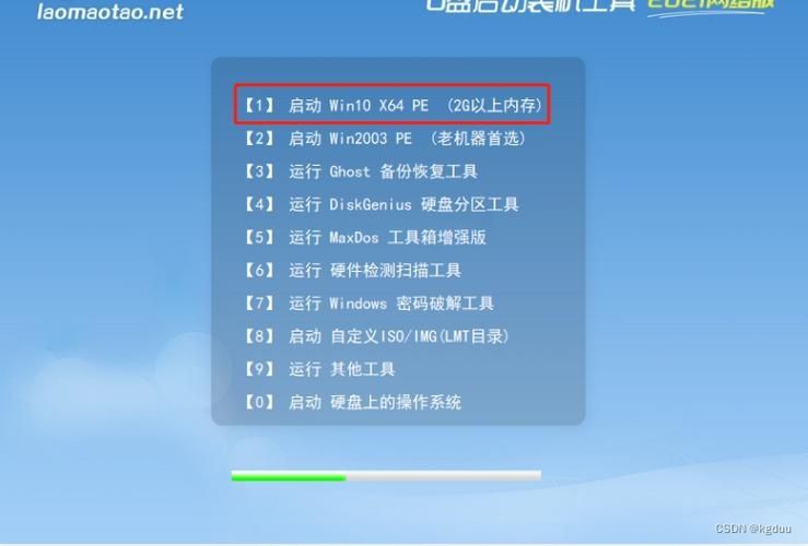 雷神911X1猎荒者最新U盘重装win10系统(石大师)