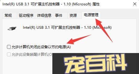Win11鼠标一会失灵一会正常怎么办?Win11鼠标间歇性失灵解决方法