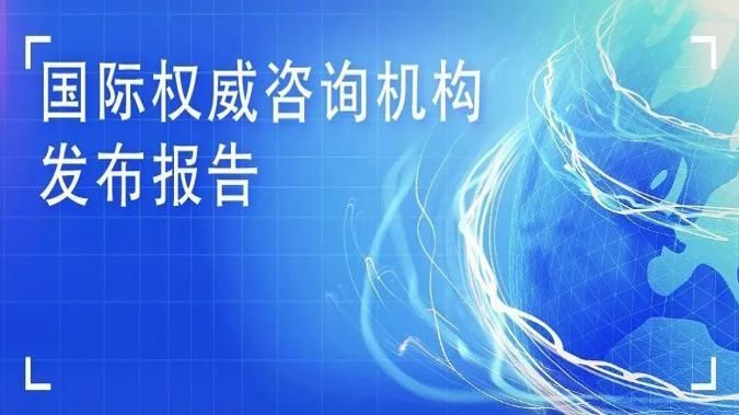奇安信入选全球《软件成分分析全景图》代表厂商