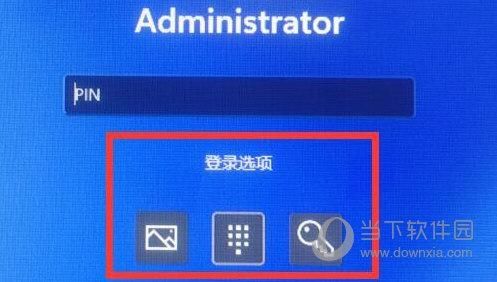 Win11登录选项默认登录方式怎么设置?