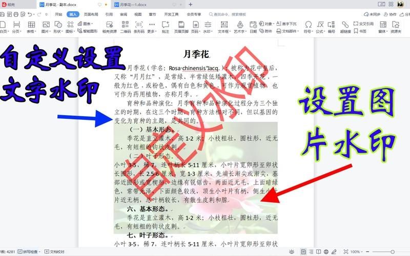 WPS软件如何添加水印?wps文档添加水印方法介绍