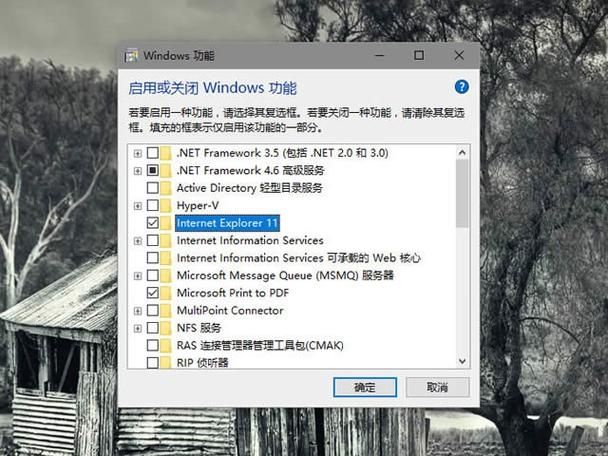 win10电脑中有两个edge浏览器怎么解决?