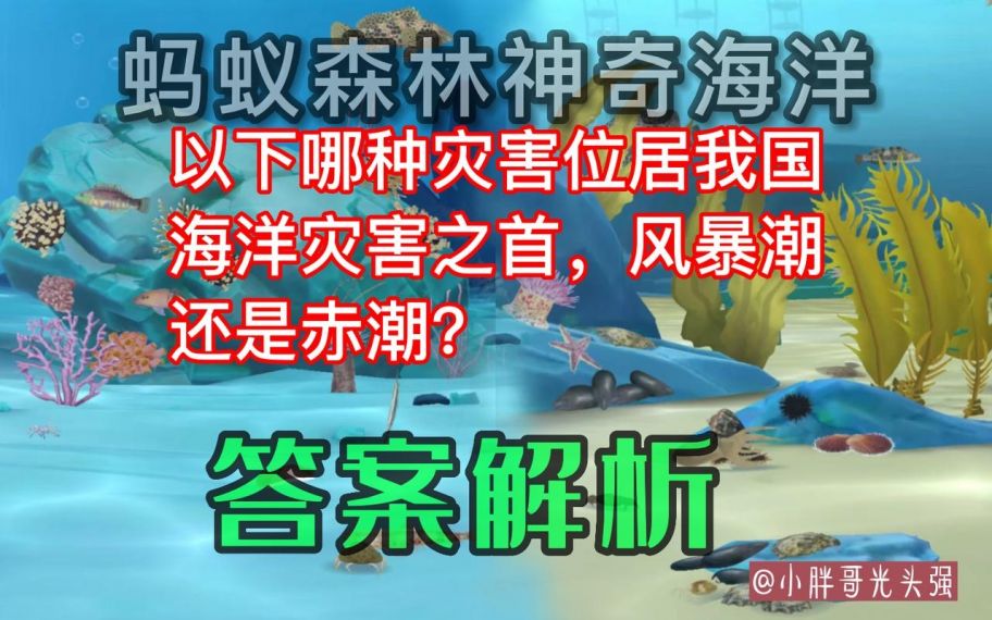 蚂蚁森林神奇海洋1月9日最新题目:招潮蟹为什么变色?