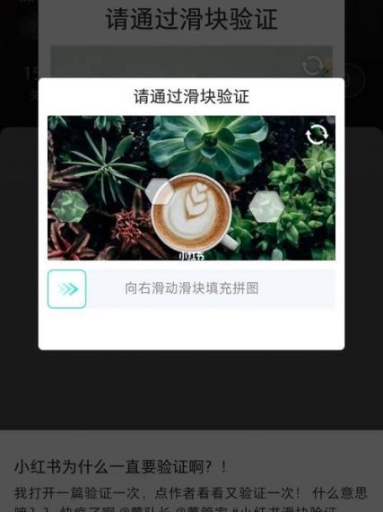 小红书一直滑块验证怎么办?小红书为什么总出现拖动滑块?