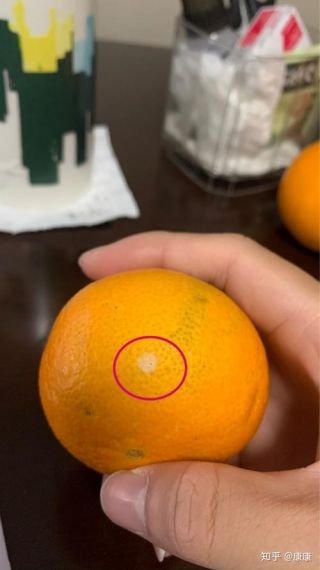 橘子平台打开之后一直是白的怎么办?橘子登录界面一片白色解决方法