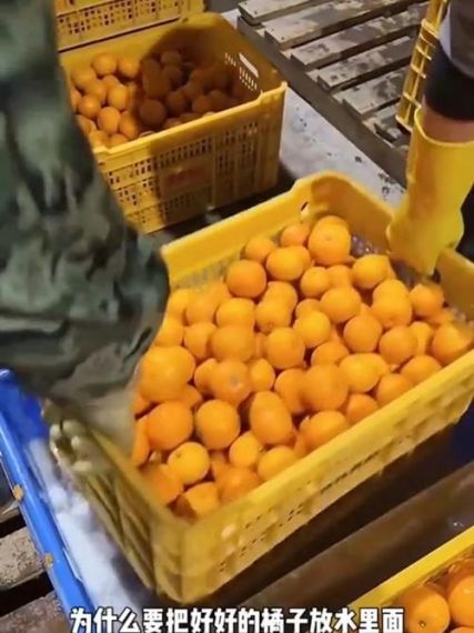 橘子平台打开之后一直是白的怎么办?橘子登录界面一片白色解决方法