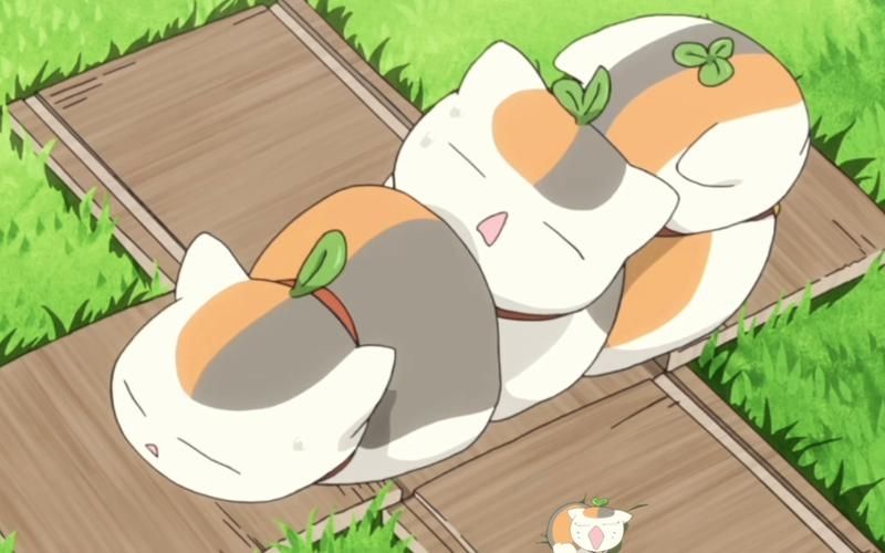 喵喵老师v1.0