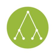 codeformer安卓中文版v2.1.4