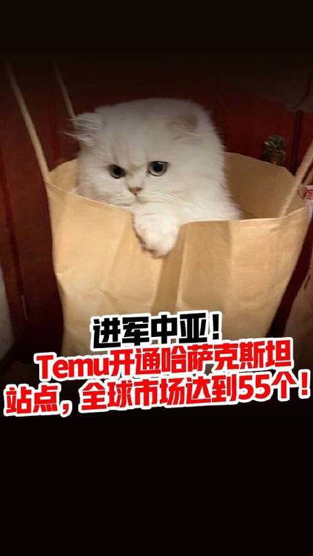 Temu开通哈萨克斯坦站点