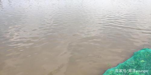 棘手的水
