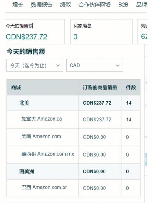 亚马逊创业3个月放弃是为什么?