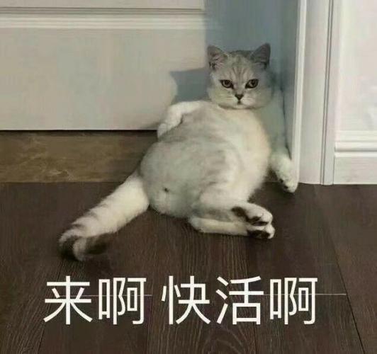 啊可爱