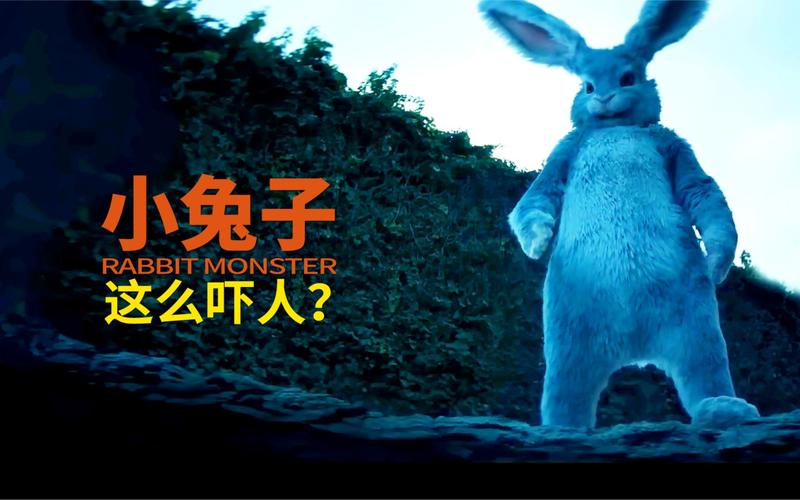 可怕的兔子 可怕的兔子