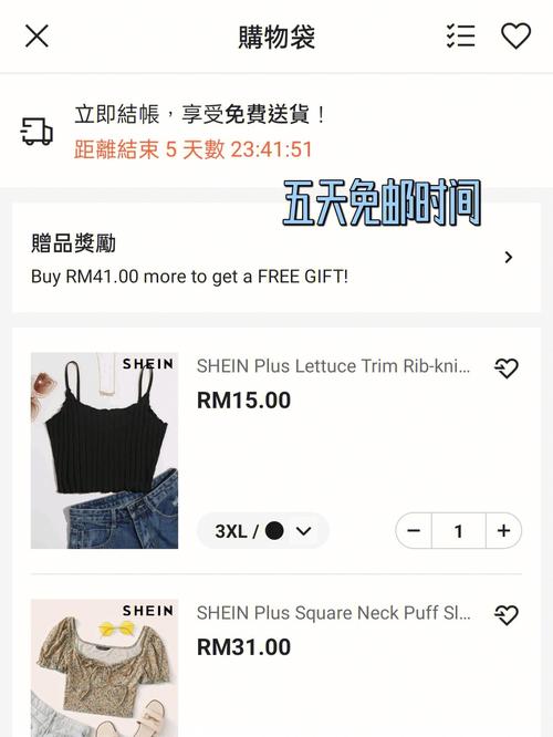 shein怎么支付?