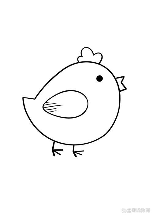爱画画的小鸡 爱画画的小鸡