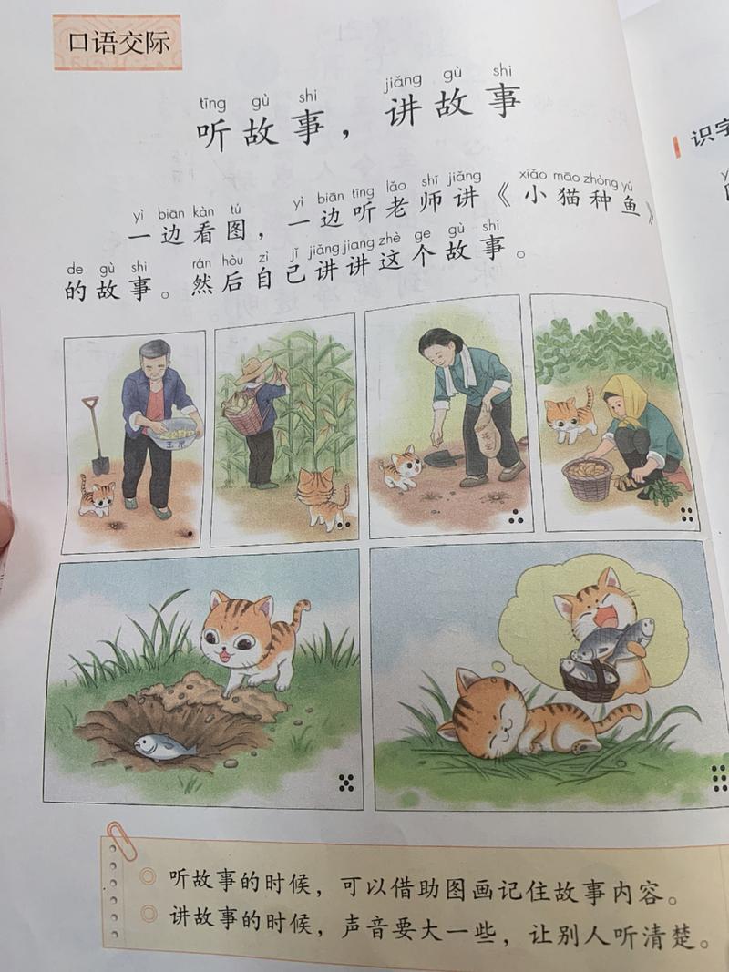 小猫种鱼