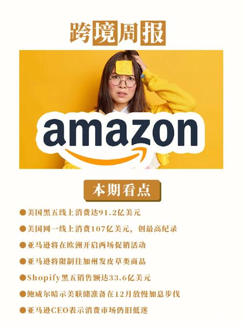 做亚马逊卖家精灵和芒果店长哪个好？