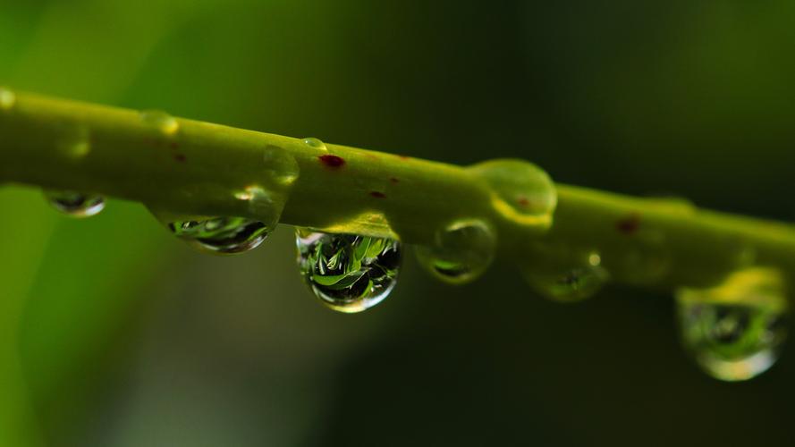 完美1滴水 完美1滴水