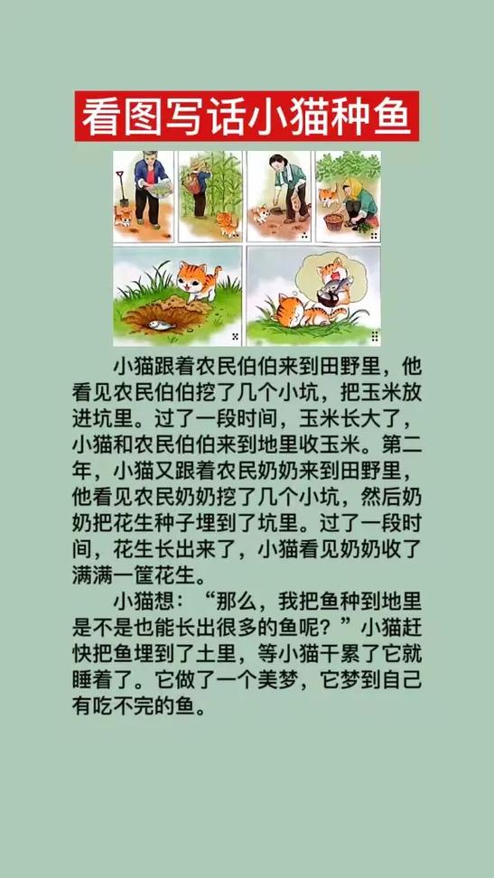 小猫种鱼