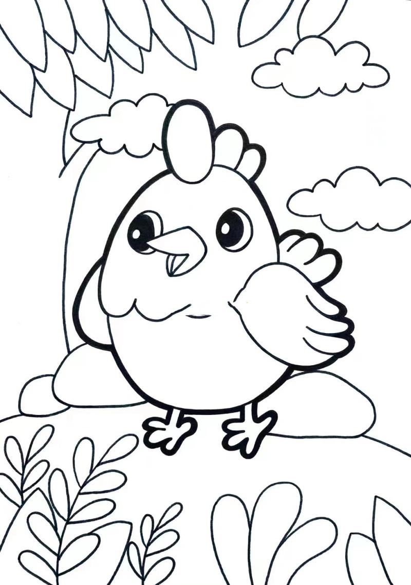 爱画画的小鸡