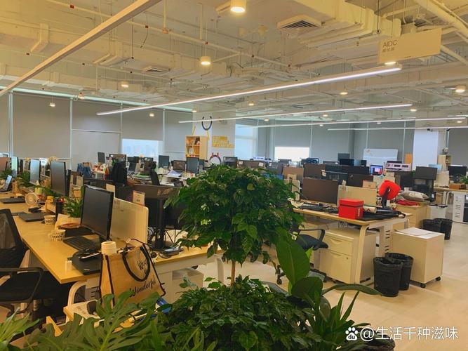 shein深圳公司上班怎么样?
