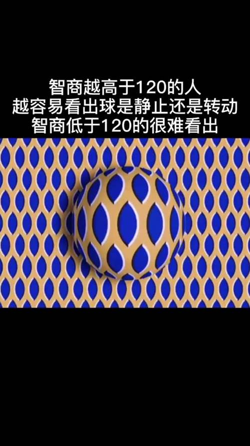 球球智商测试