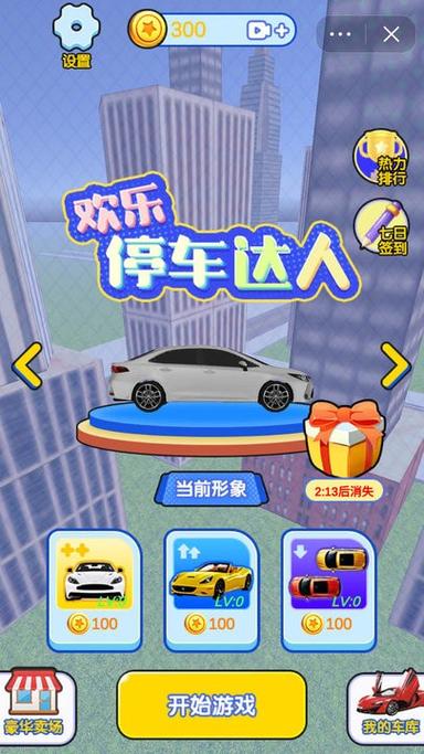开心停车达人