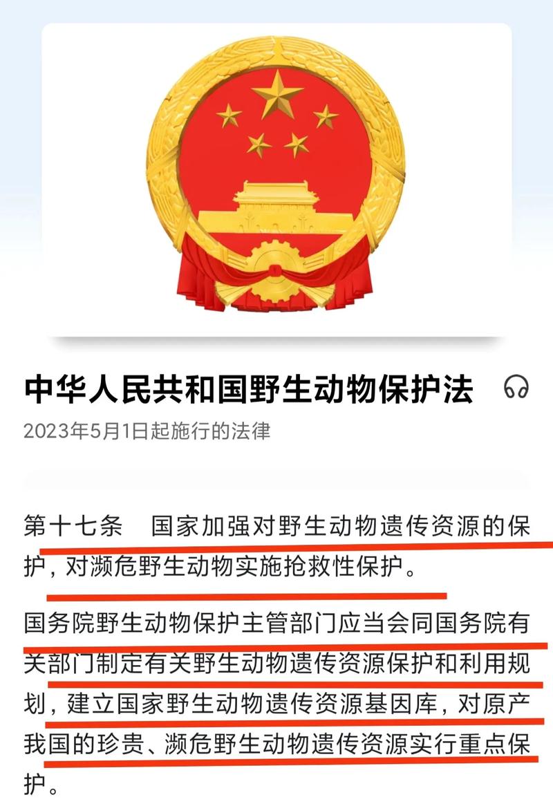 熊猫的宝藏
