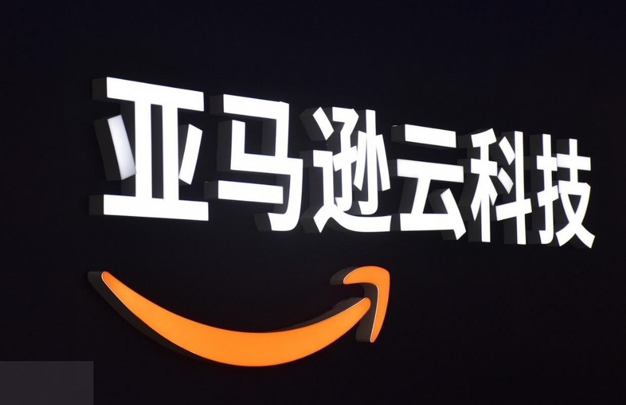 亚马逊云科技是干什么的?