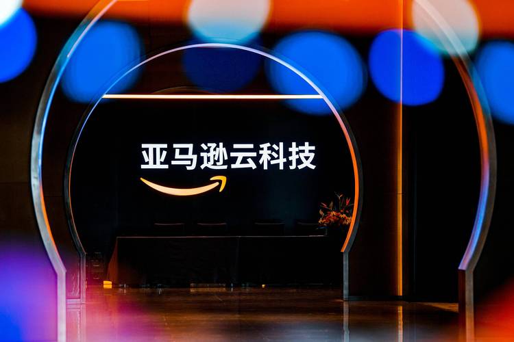 亚马逊云科技是干什么的?
