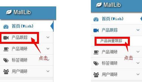 wish标签如何优化?