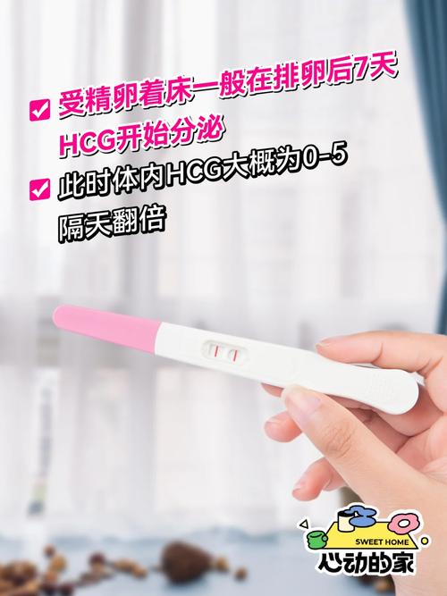 大多数二测能玩多少天
