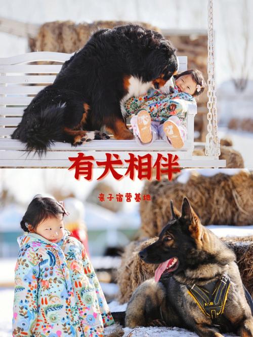 遇见你的狗狗 遇见你的狗狗