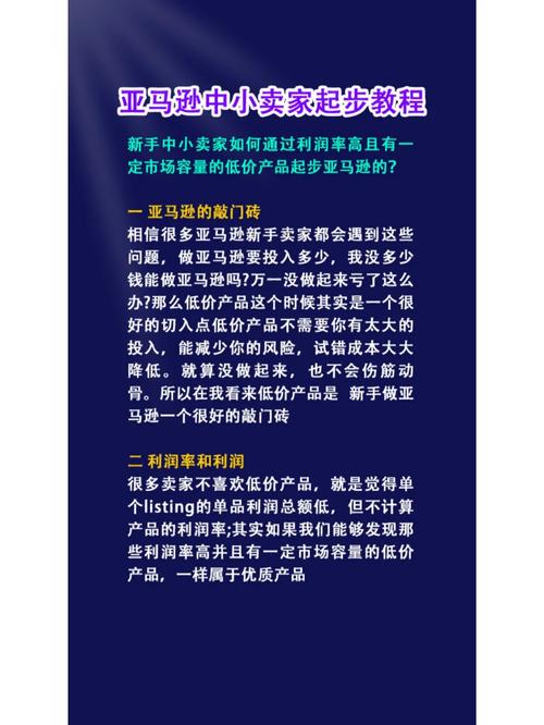 亚马逊新手卖家该如何起步?