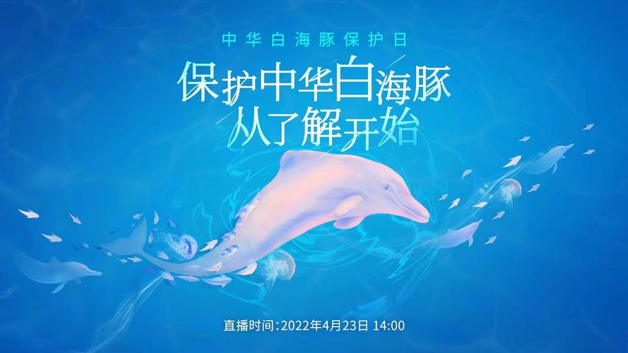 保护海豚