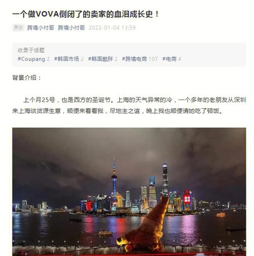 vova跨境电商平台倒闭了吗?