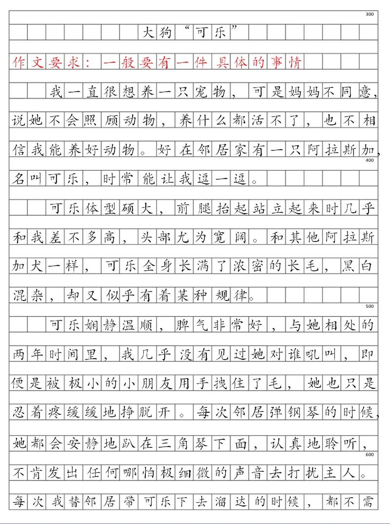 我的宠物朋友 我的宠物朋友