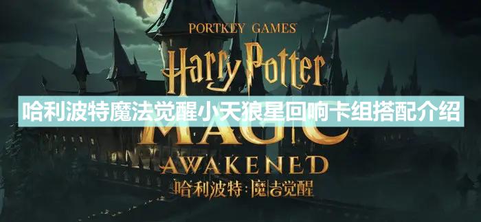 哈利波特魔法觉醒小天狼星回响卡组如何组建