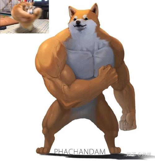 肌肉狗头