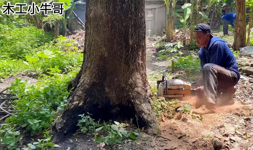 点击伐木工