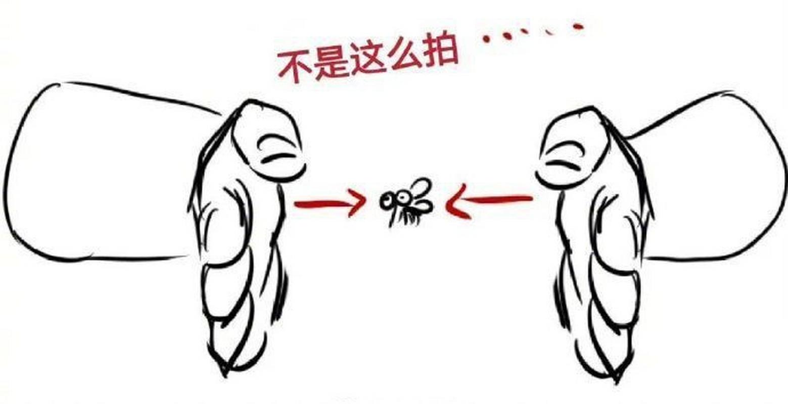 蚊子逃逸 蚊子逃逸