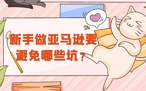 亚马逊新手卖家6大坑,如何避开这些坑?