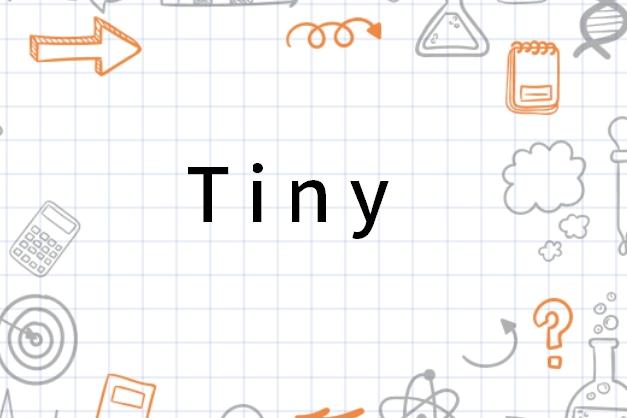 TinyFantasy TinyFantasy